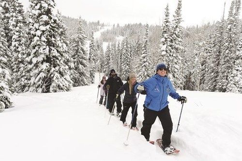 Targhee Lodge By Grand Targhee Resort 阿尔塔 外观 照片